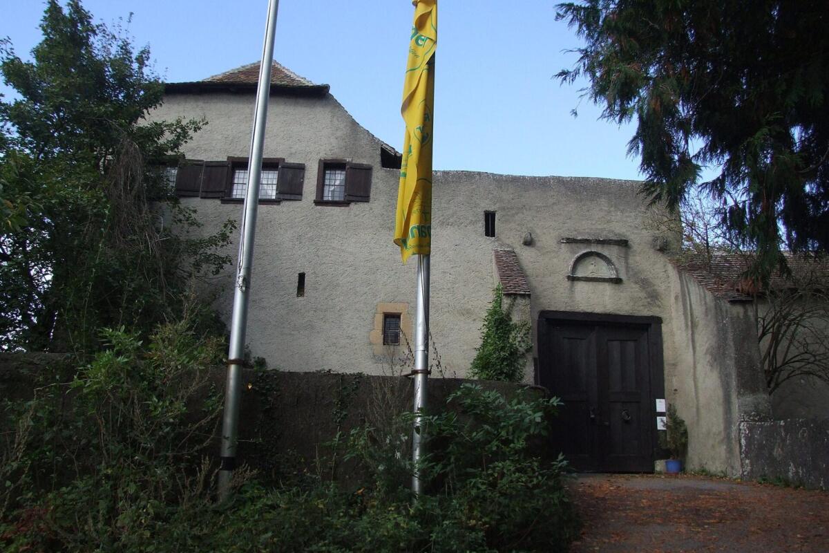 Landappbw 969760 1818 Burg Friedingen Friedingen