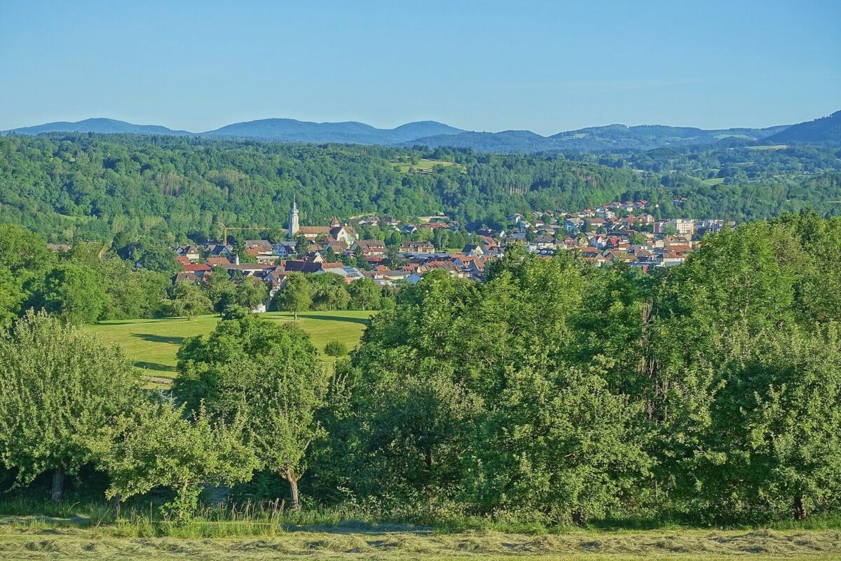 Wehr (Baden) Blick auf